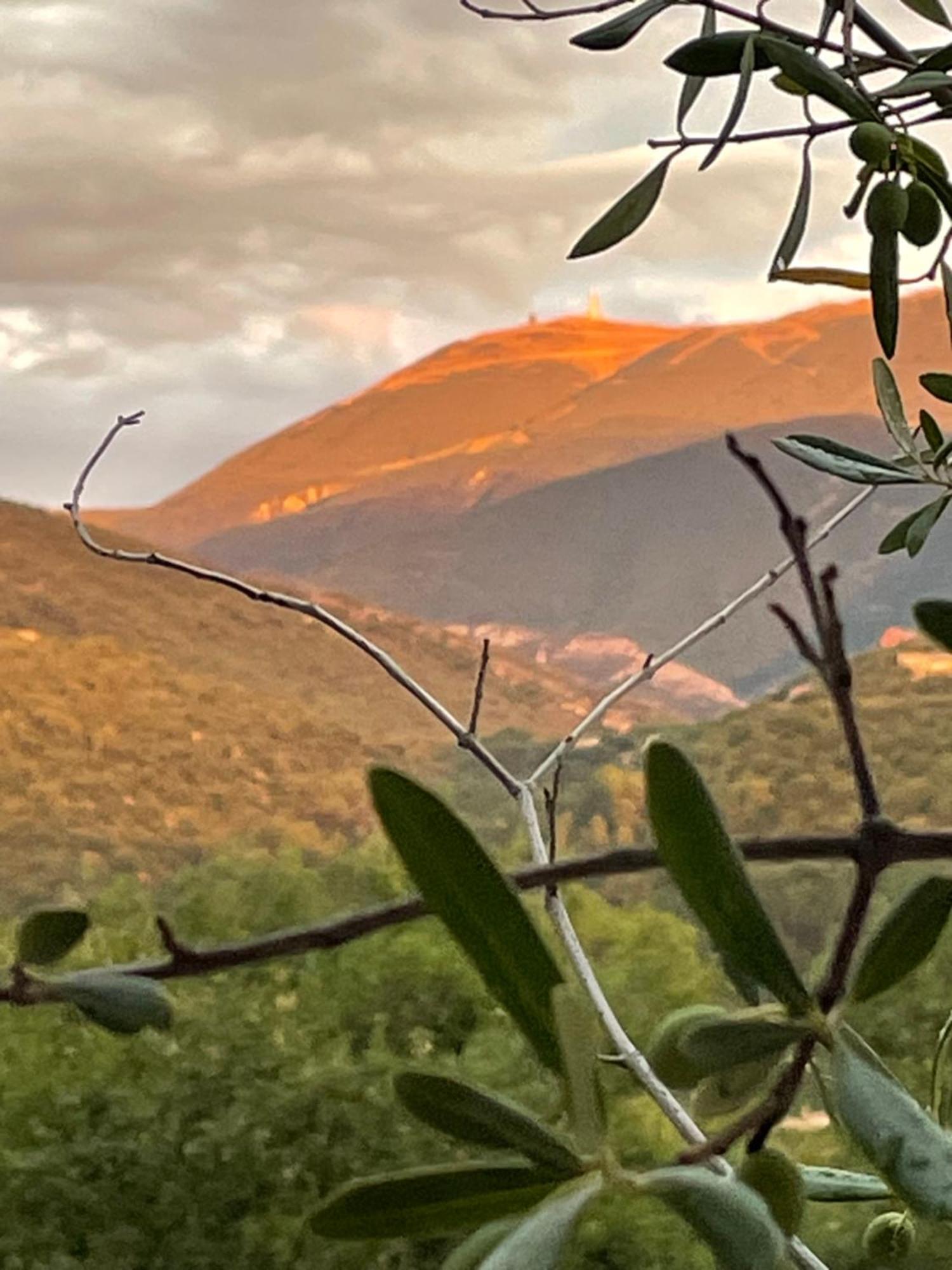Les Terrasses Du Ventoux Διαμέρισμα Mollans-sur-Ouvèze Εξωτερικό φωτογραφία